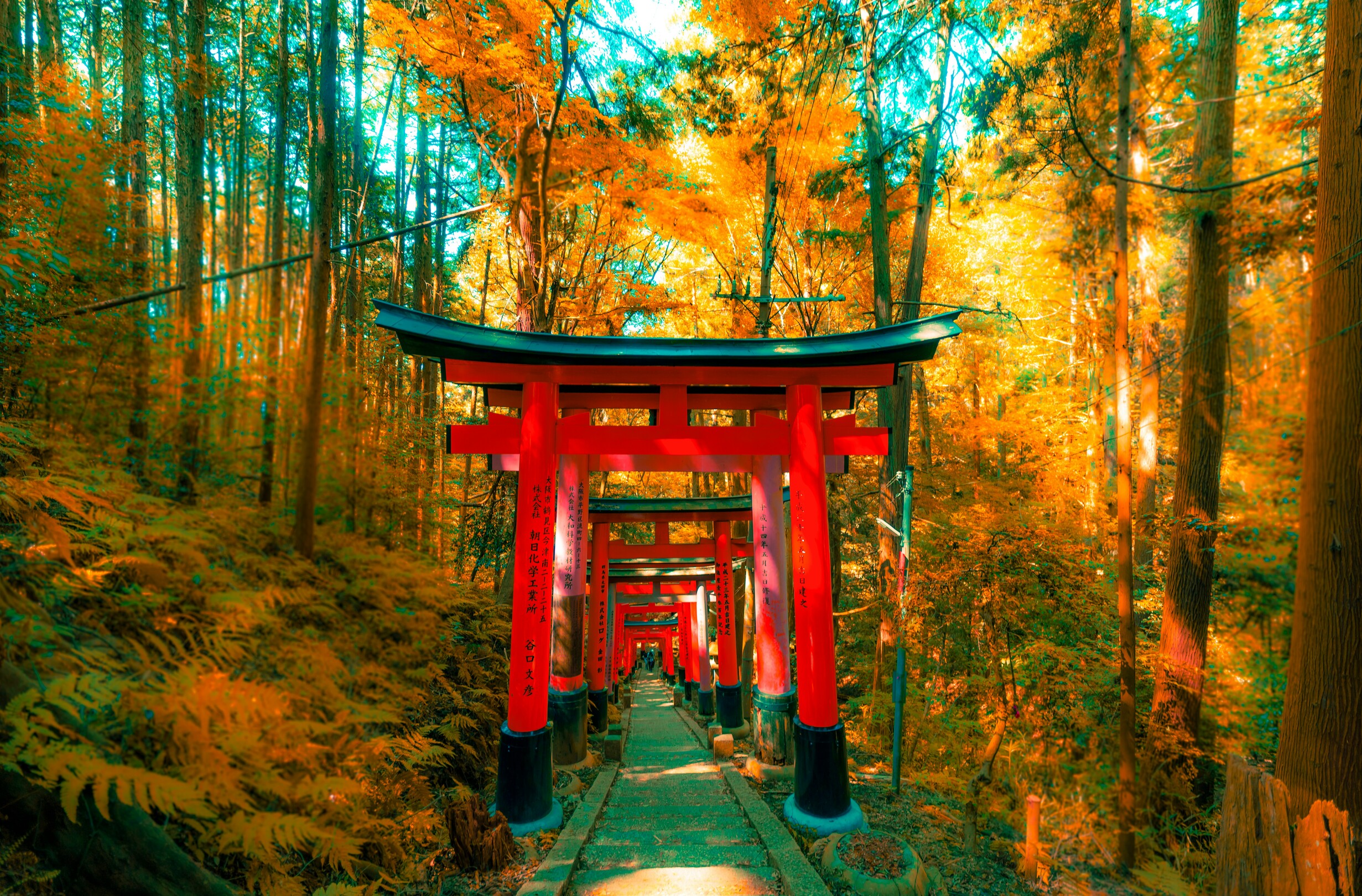 Fushimi Inari
