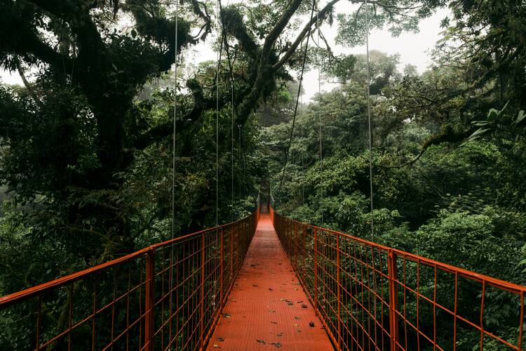 Monteverde Hanging Bridges
