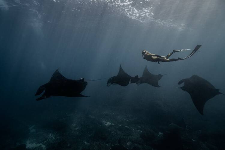 Manta Point, Bali
