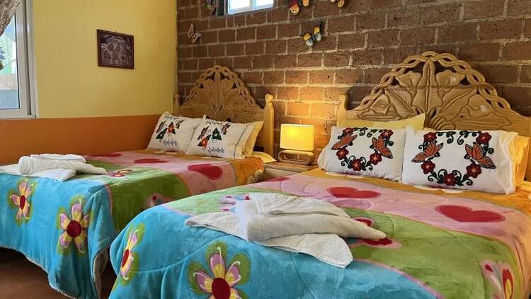 Cerro Pelon Butterfly B&B