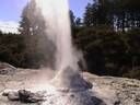 Lady Knox geyser