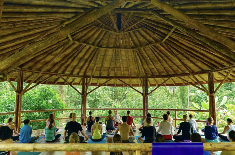 Meditation