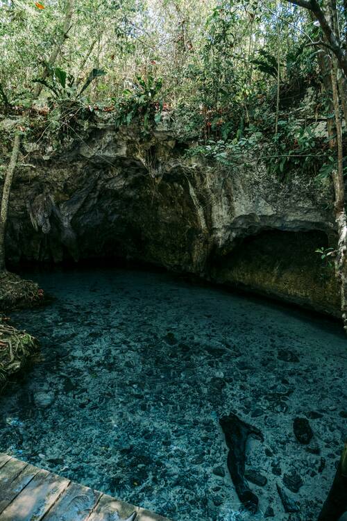 Tulum nature walk