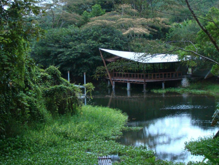 Rancho Margot Eco Lodge