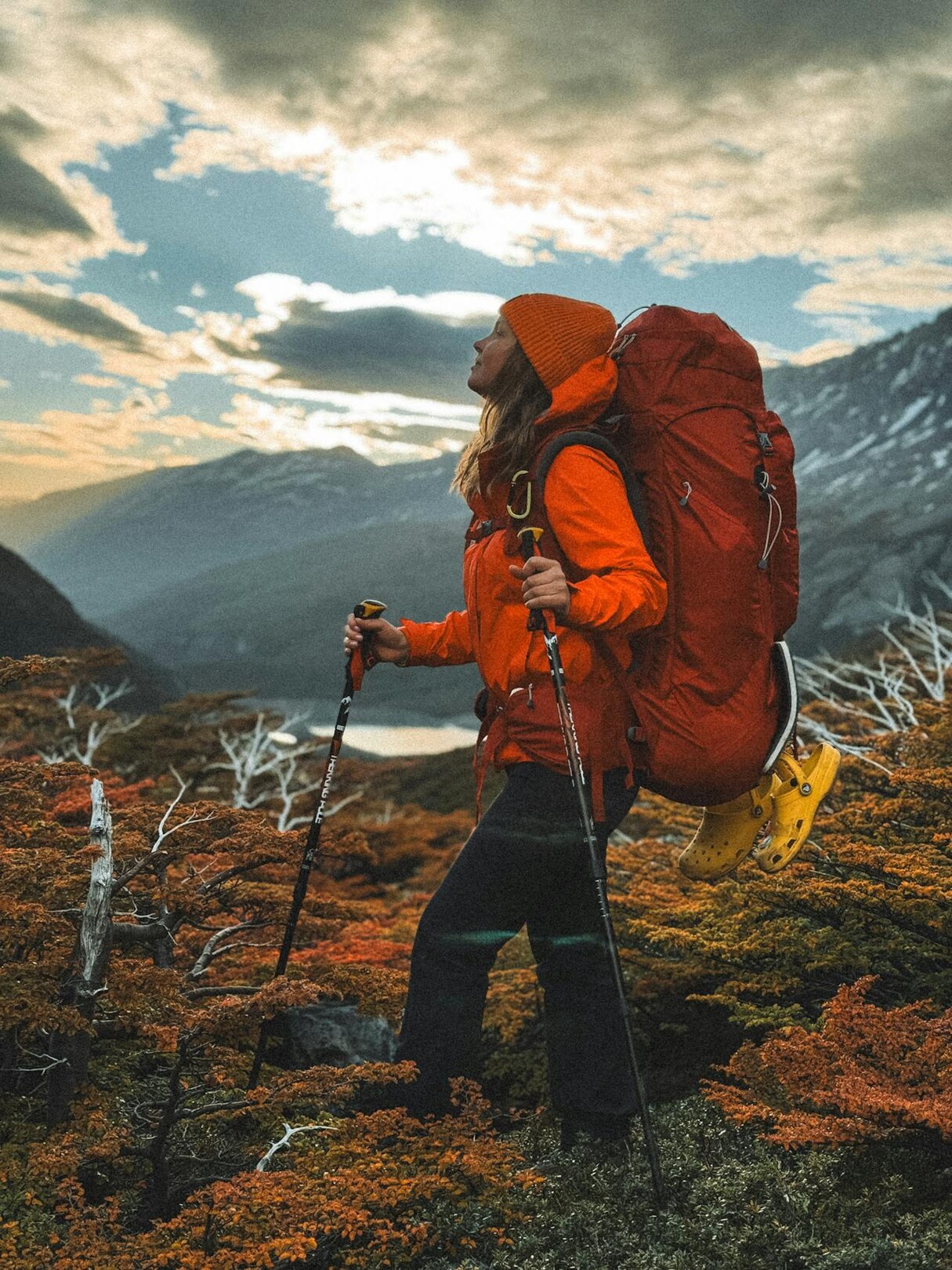 Hiker in Torres del Paine