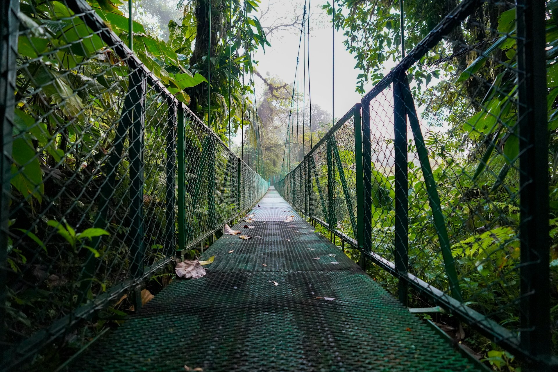 La Fortuna hanging bridge