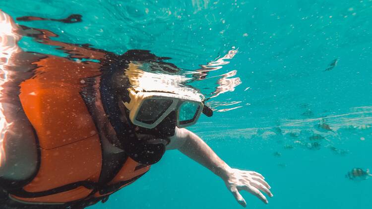 Snorkel Time