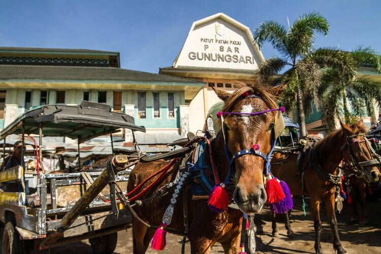 Cidomo (traditional horse cart)