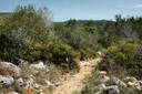 Parc Natural del Garraf