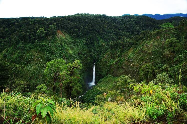 Sarapiqui river waterfall