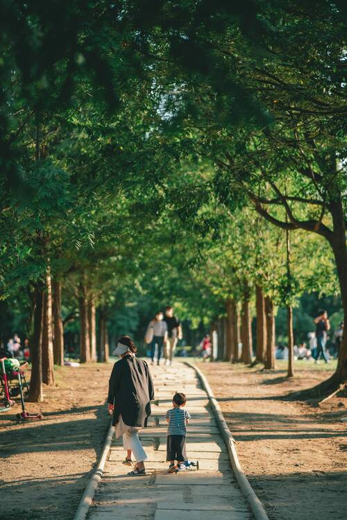 Seoul Forest Park