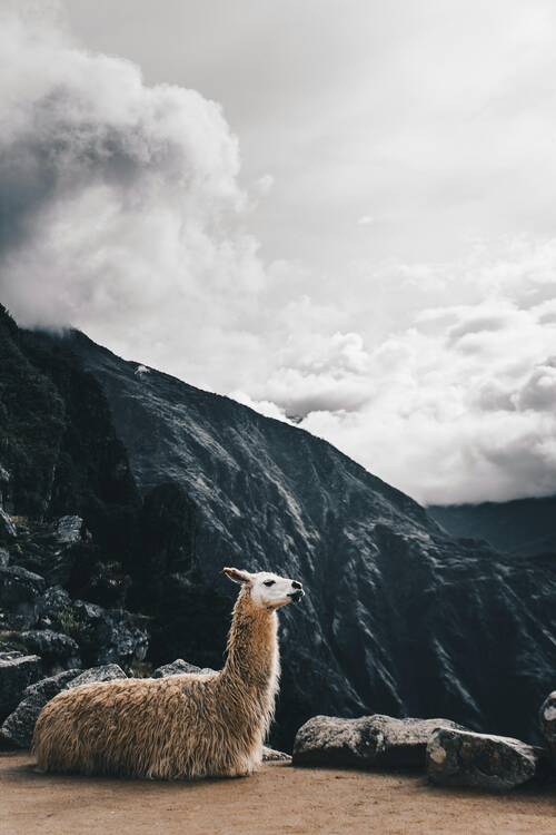 Aguas Calientes welcome