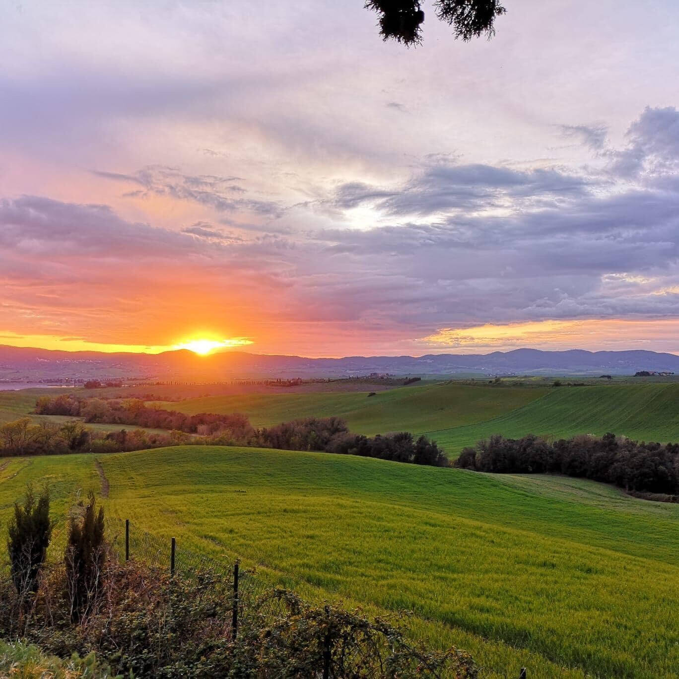 Tuscany Yoga