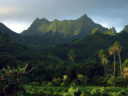 Rarotonga island tour