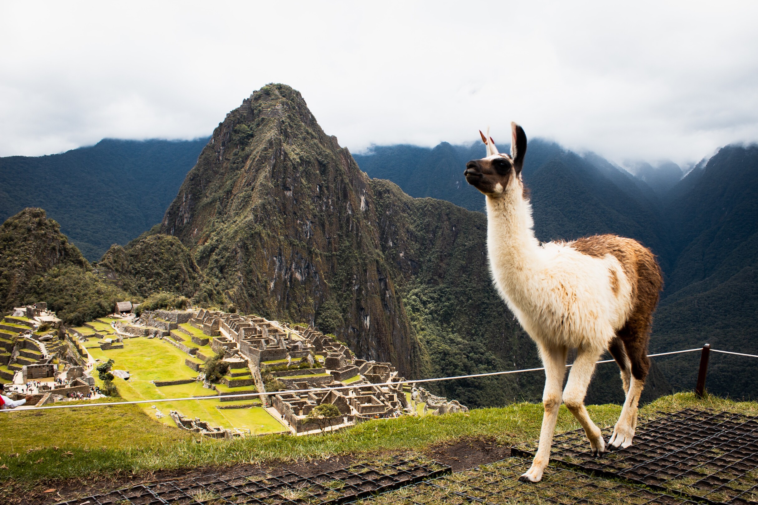 Machu Picchu