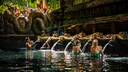 Water blessing at Tirta Empul