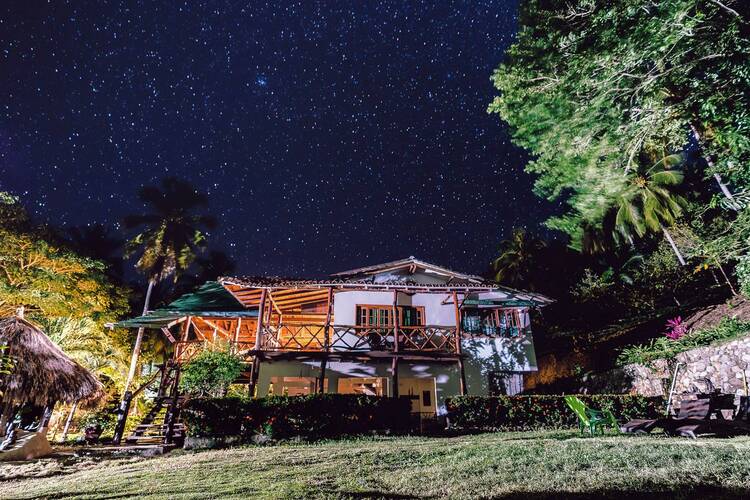 Palomino Stars