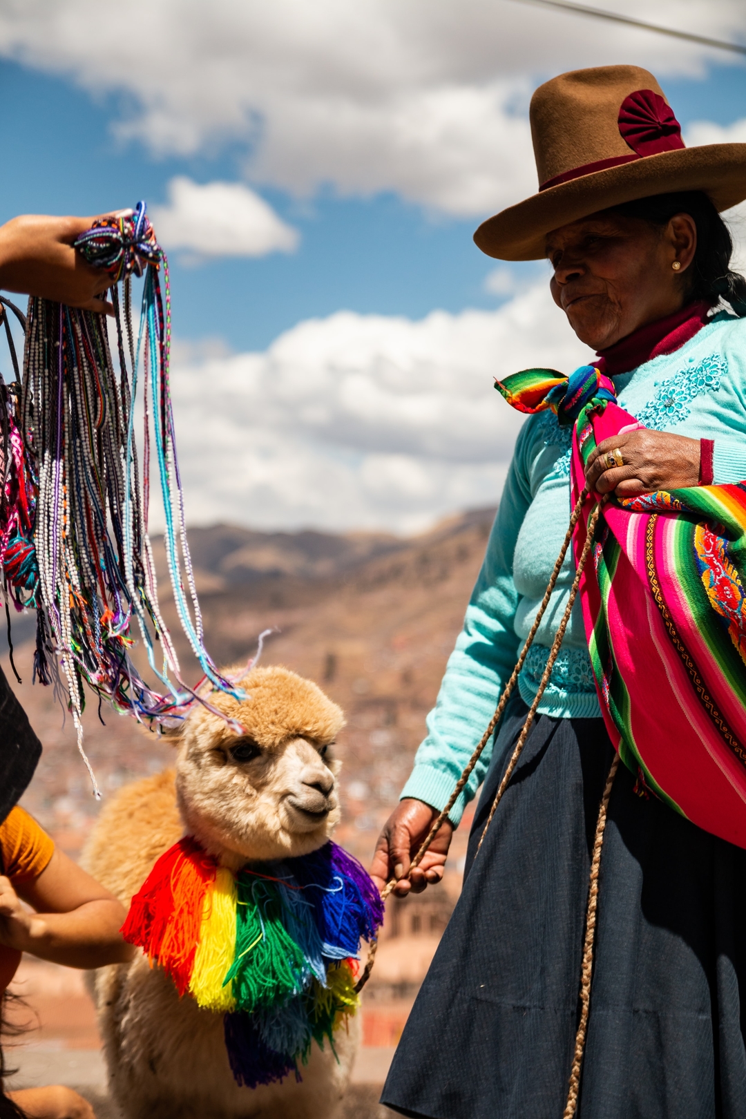 Old Peruvian lady with alpaca
