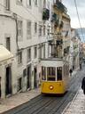 lisbon tram