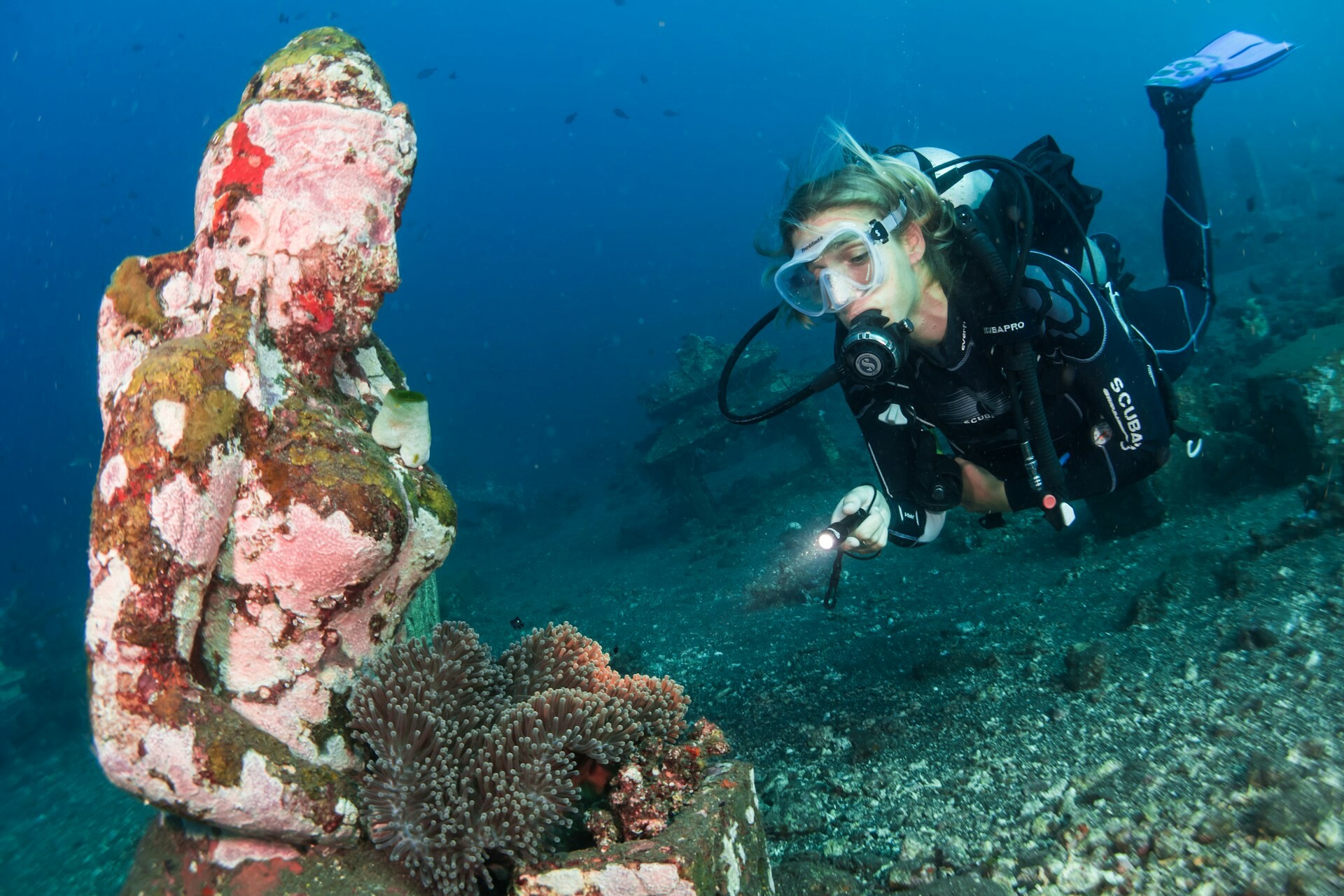 Bali diver
