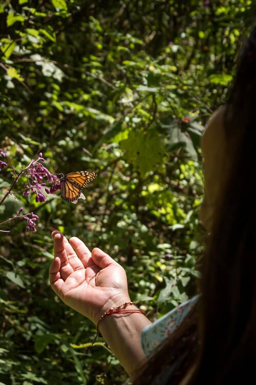 Woman with Monarch Butterfly