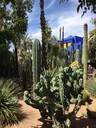 Marrakech-Botanical Gardens