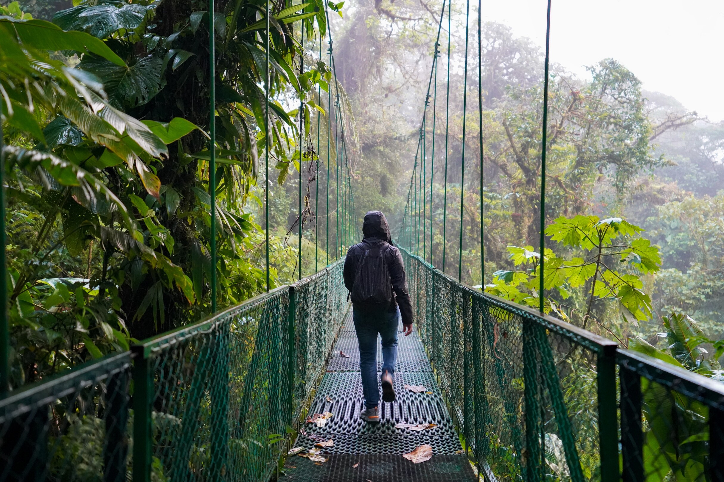 Hanging Bridges--Costa Rica