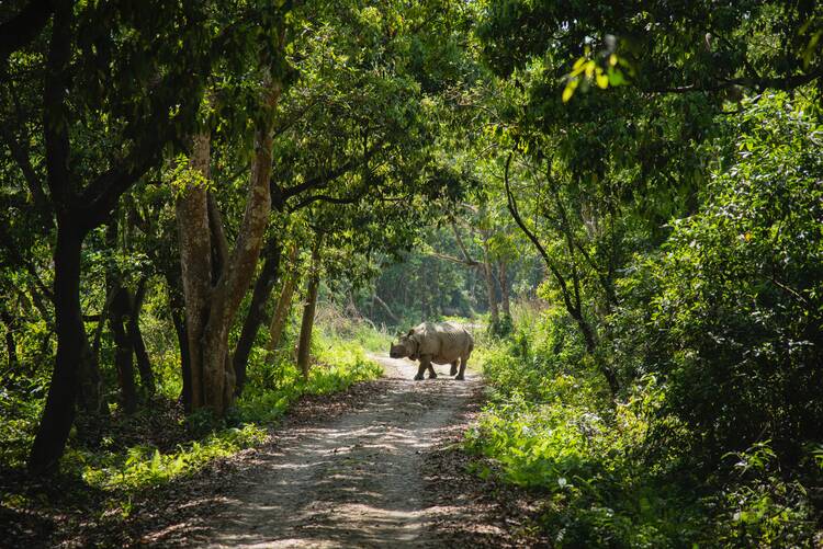 Chitwan National Park