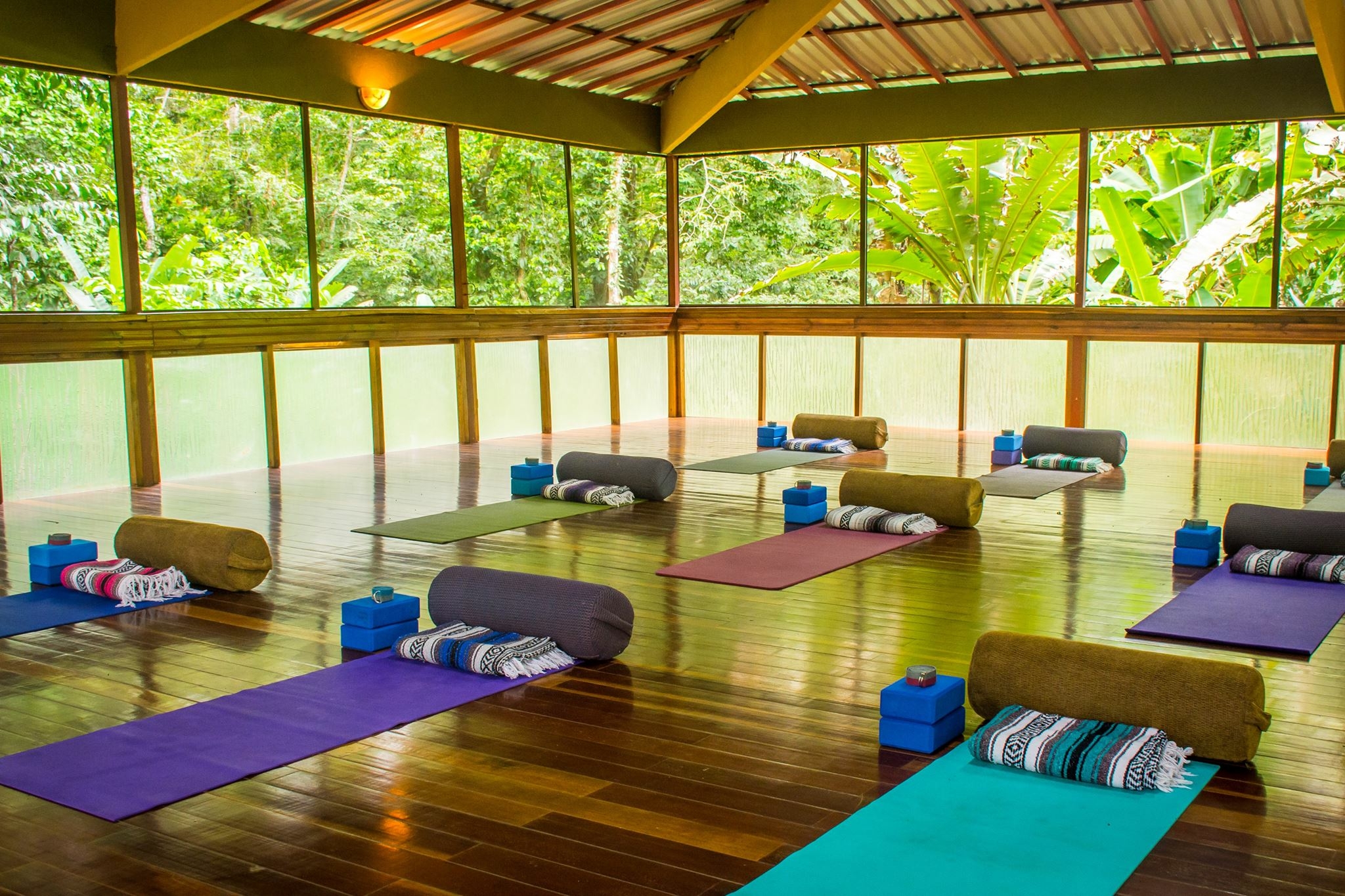 Modern yoga studio, serene space with yoga mats laid out under the