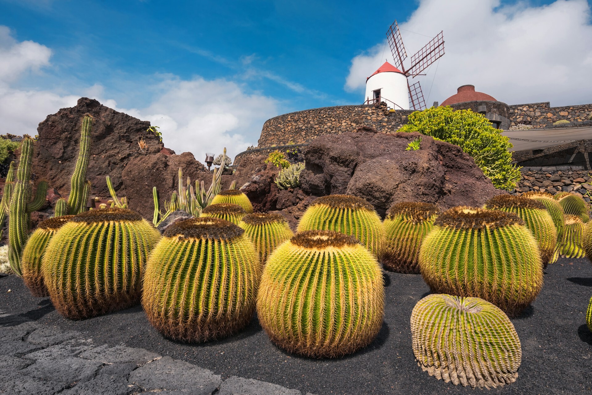 Lanzarote - Canary Islands - Cactus Garden - feature