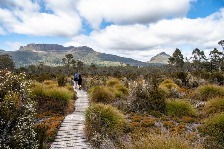 Tasmania hiking
