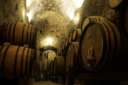 Cantina de’ Ricci wine cellar