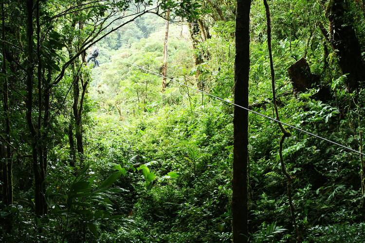 Zipline Costa Rica jungle generic