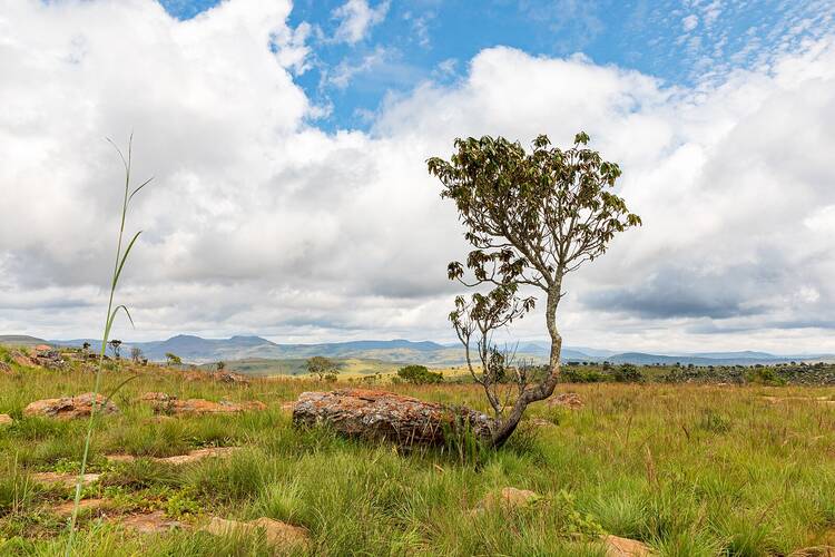 Blue Canyon Reserve