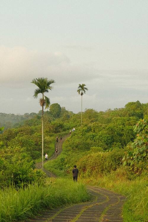 Hike Ubud