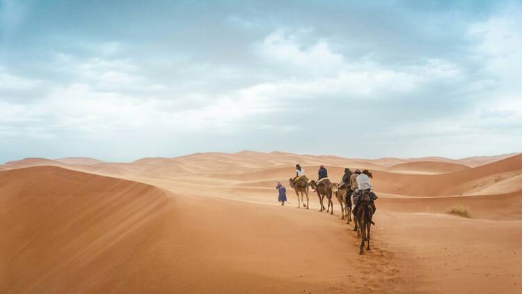 Sahara Desert