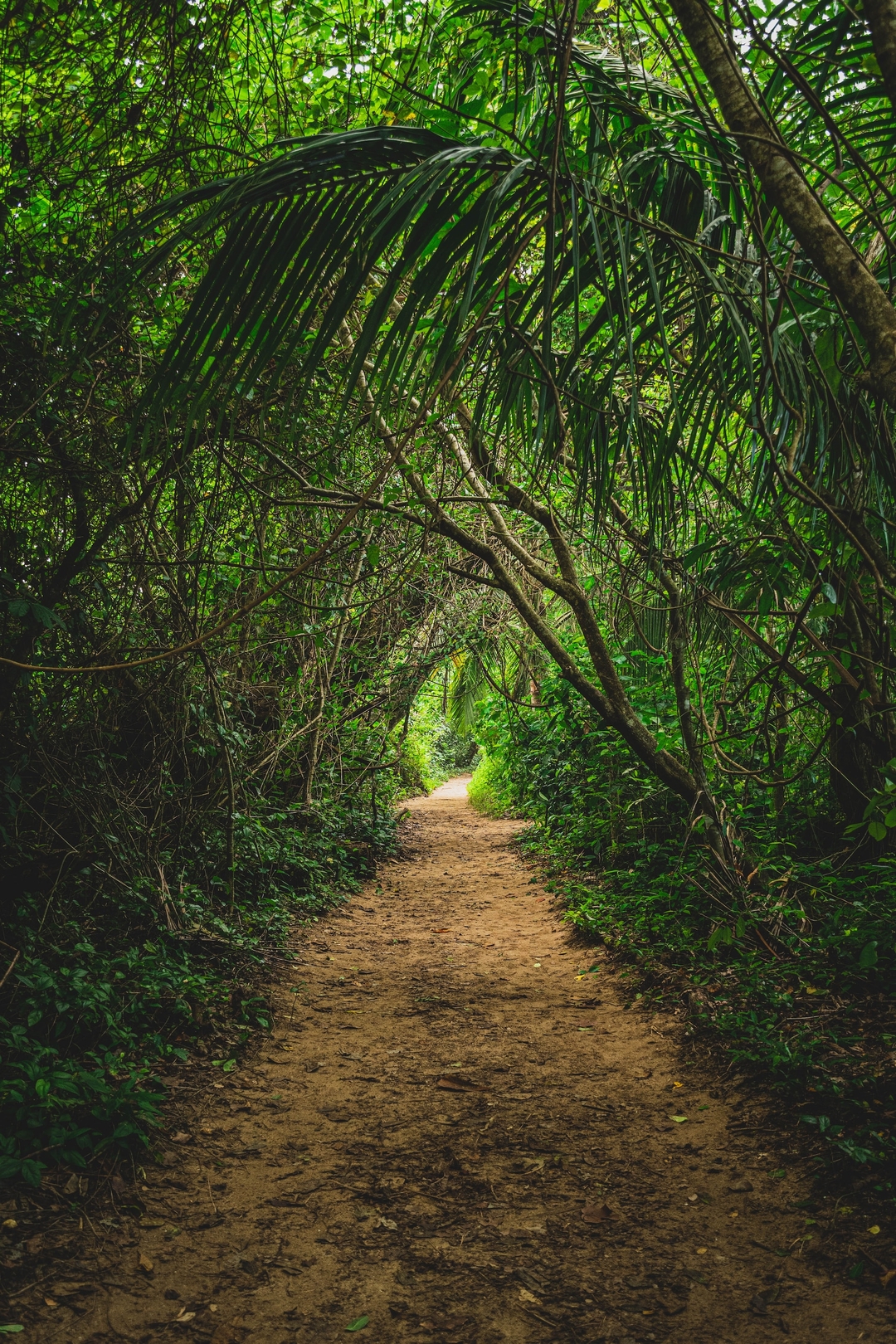 Cahuita National Park