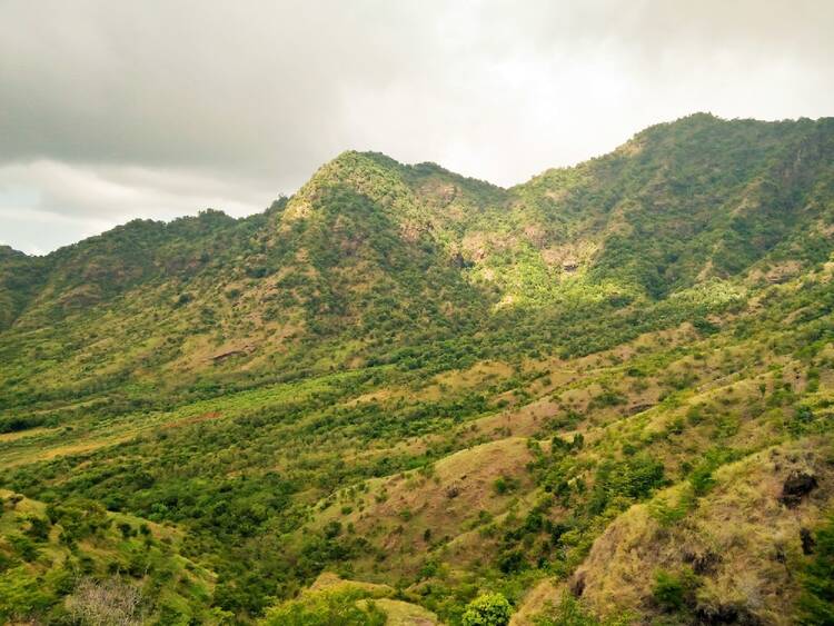 West Bali National Park