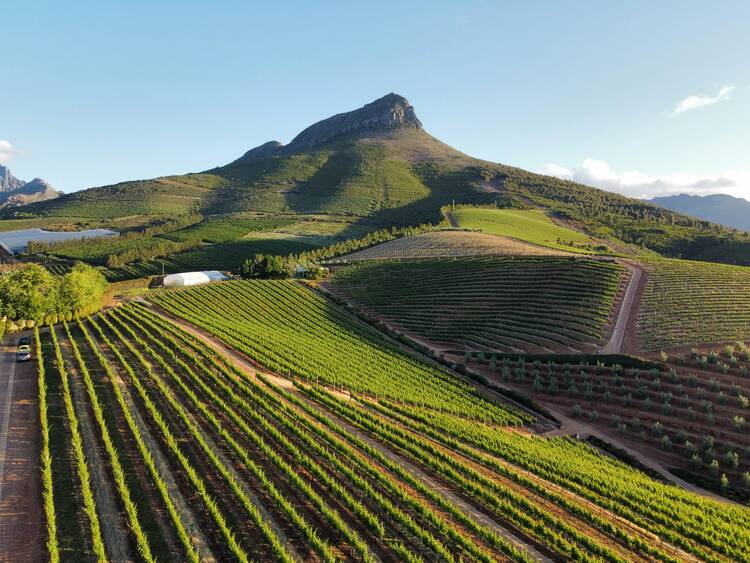 Winelands, South Africa