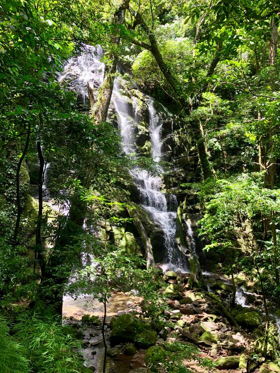 Parque Nacional Rincón de la Vieja