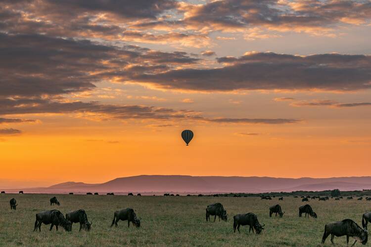 hot air balloon maasai mara national reserve