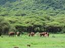 Ngoro Ngoro Highlands