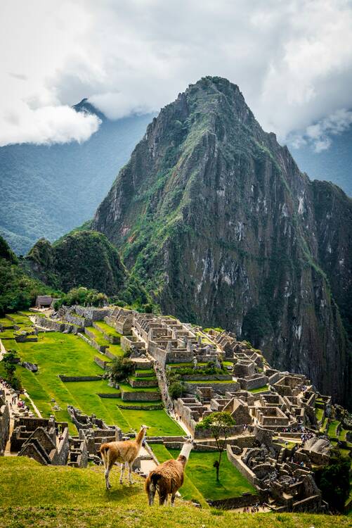 Machu Picchu