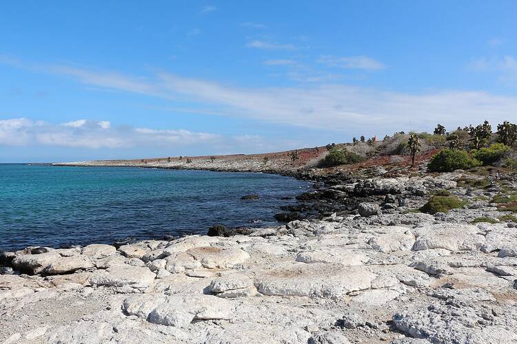 South Plaza Island