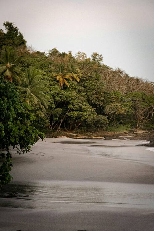 Montezuma