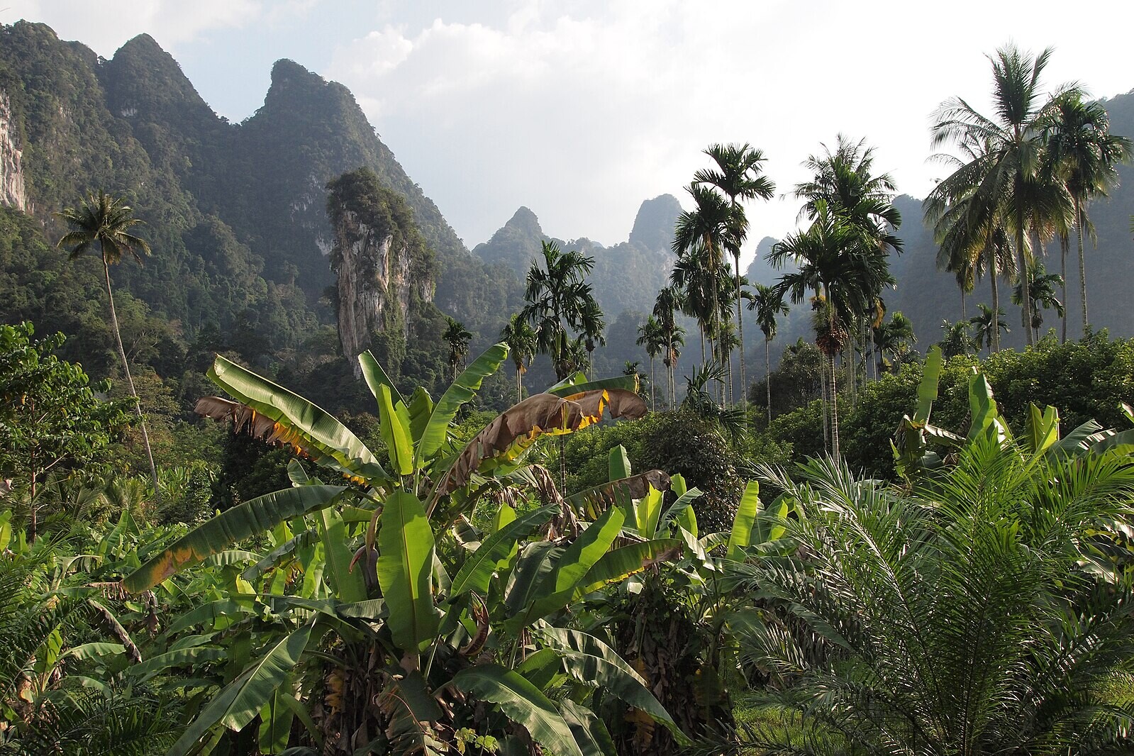 Surat Thani, Thailand - feature