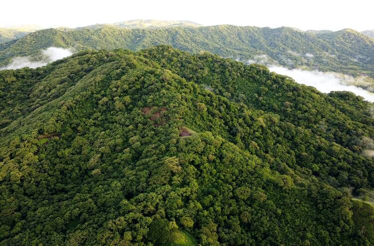 Costa Rica jungle