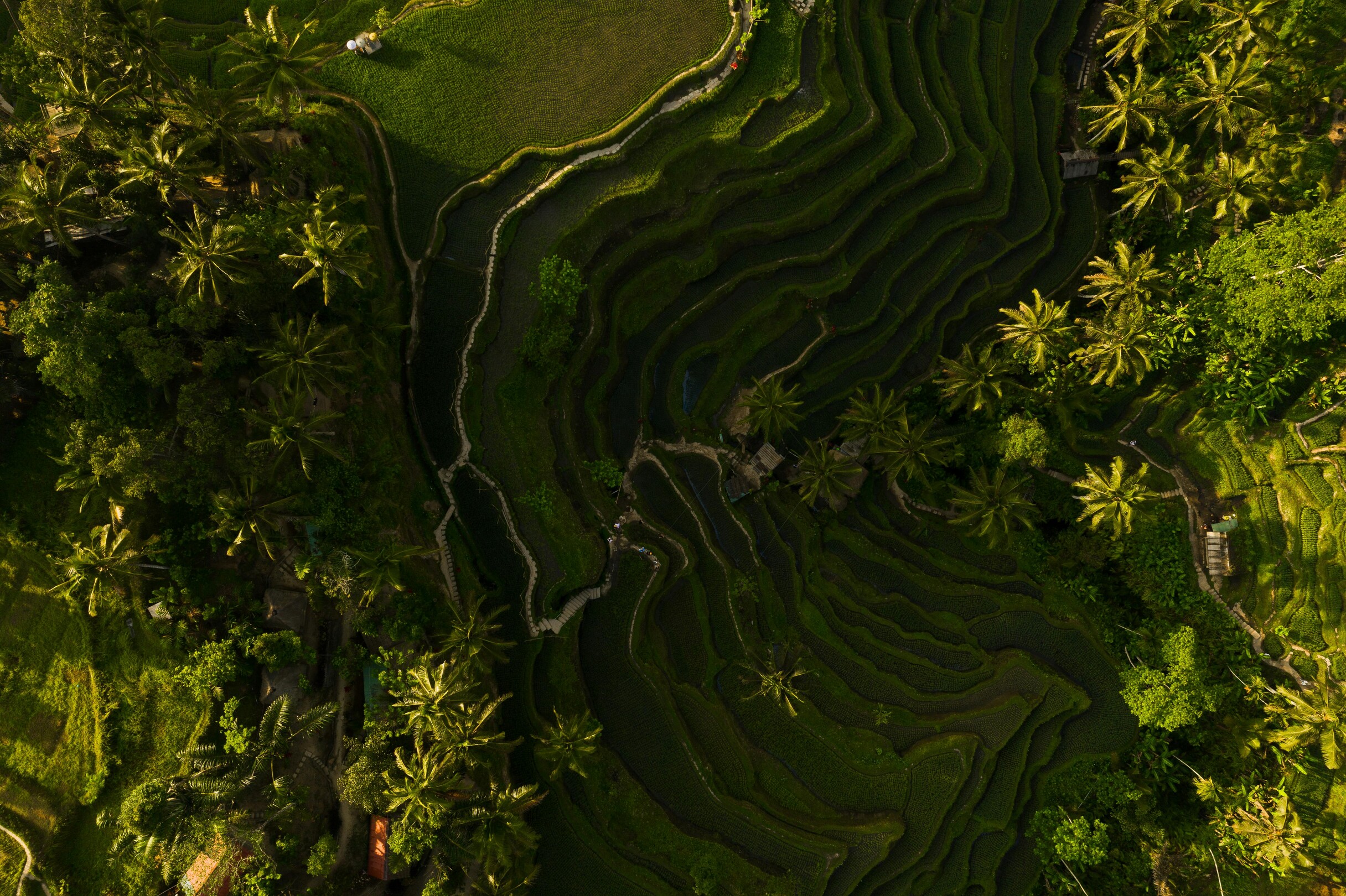 Tegallalang, Bali