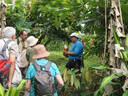 Arenal Vida Campesina