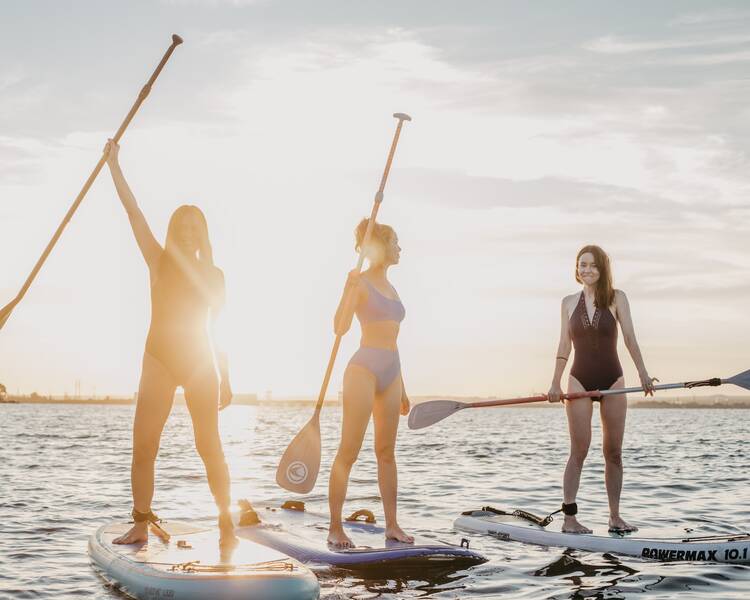 Stand up paddle